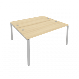 Рабочая станция БП.РАС-СП-2.4